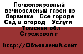 Почвопокровный, вечнозелёный газон из барвинка - Все города Сад и огород » Услуги   . Томская обл.,Стрежевой г.